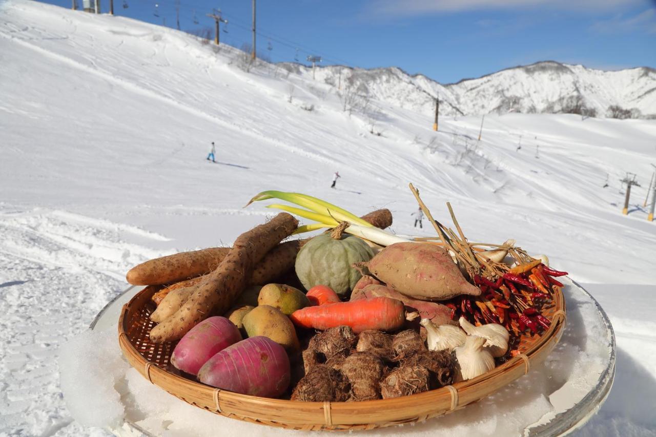 Ishiuchi Ski Center Minamiuonuma Zewnętrze zdjęcie